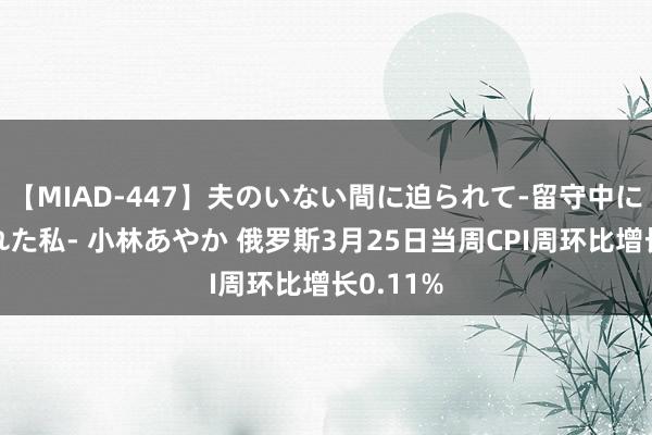 【MIAD-447】夫のいない間に迫られて-留守中に寝取られた私- 小林あやか 俄罗斯3月25日当周CPI周环比增长0.11%