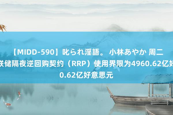【MIDD-590】叱られ淫語。 小林あやか 周二好意思联储隔夜逆回购契约（RRP）使用界限为4960.62亿好意思元