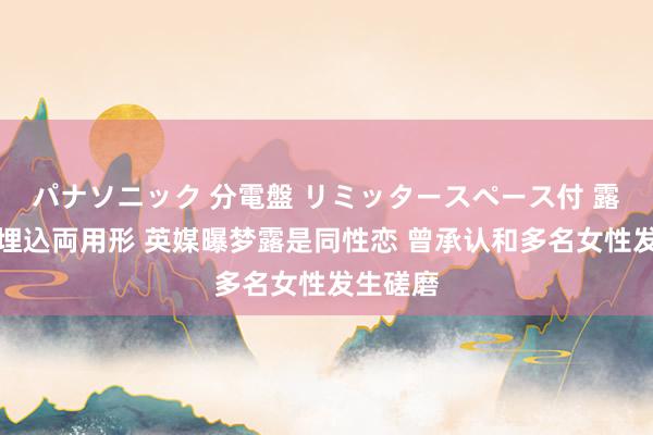 パナソニック 分電盤 リミッタースペース付 露出・半埋込両用形 英媒曝梦露是同性恋 曾承认和多名女性发生磋磨