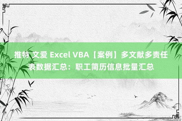 推特 文爱 Excel VBA【案例】多文献多责任表数据汇总：职工简历信息批量汇总