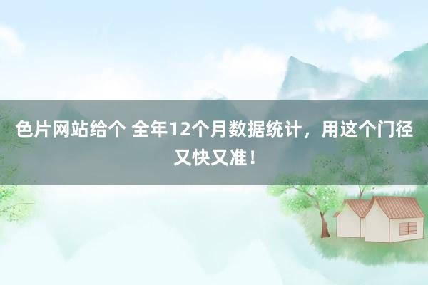色片网站给个 全年12个月数据统计，用这个门径又快又准！