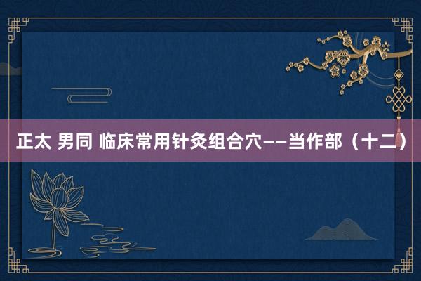 正太 男同 临床常用针灸组合穴——当作部（十二）