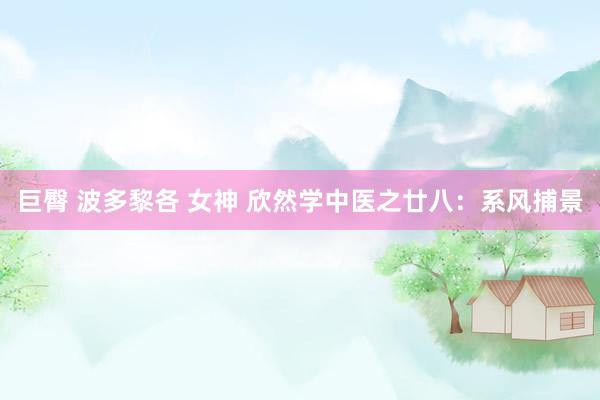 巨臀 波多黎各 女神 欣然学中医之廿八：系风捕景