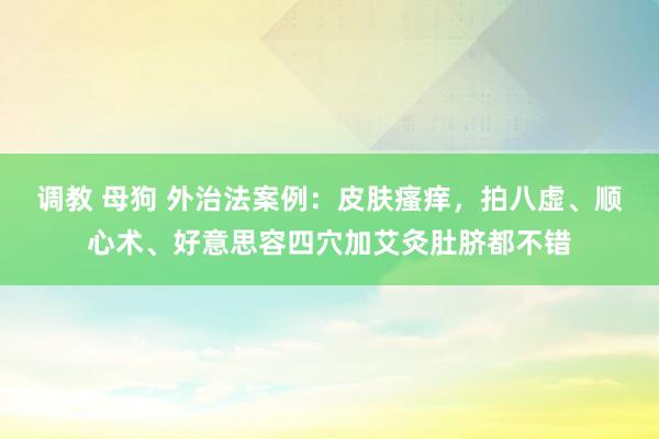 调教 母狗 外治法案例：皮肤瘙痒，拍八虚、顺心术、好意思容四穴加艾灸肚脐都不错
