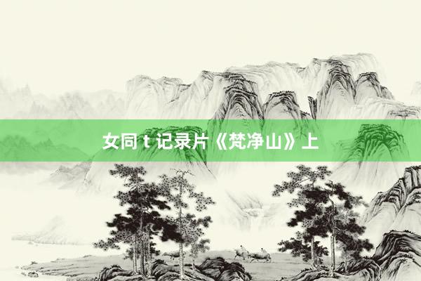 女同 t 记录片《梵净山》上