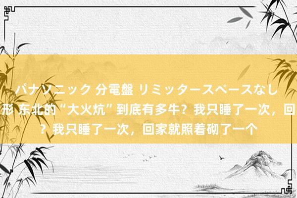 パナソニック 分電盤 リミッタースペースなし 露出・半埋込両用形 东北的“大火炕”到底有多牛？我只睡了一次，回家就照着砌了一个