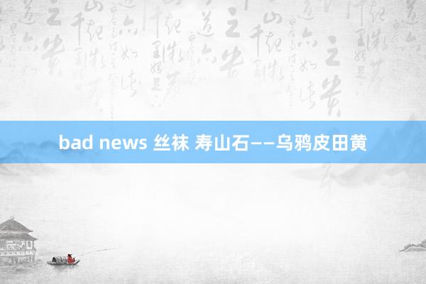 bad news 丝袜 寿山石——乌鸦皮田黄