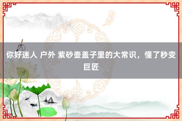 你好迷人 户外 紫砂壶盖子里的大常识，懂了秒变巨匠